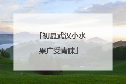 初夏武汉小水果广受青睐